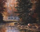 Foot Bridge in the Woods