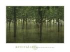 Revitalize - Forest