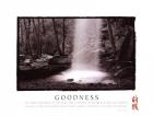 Goodness - Waterfall