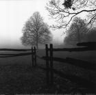 Fence in the Mist