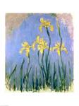 The Yellow Irises, c.1918-25