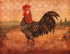 Florentine Rooster I