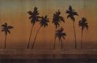 Sunset Palms I - CS