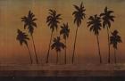 Sunset Palms II - CS