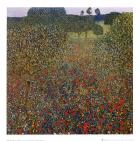 Field of Poppies, c.1907