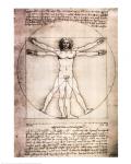 Leonardo Da Vinci - Vitruvian Man, 1492 Size 27.25x19