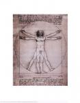 Vitruvian Man, 1492