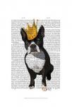 Boston Terrier And Crown