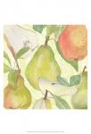 Pear Medley II