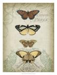 Cartouche & Butterflies I