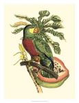 Tropical Birds and Botanicals II