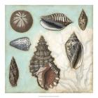 Antique Shell Collage I