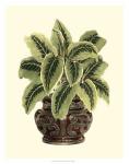 Lush Foliage in Urn I