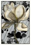 Patterned Magnolia I