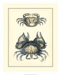 Antique Blue Crabs I