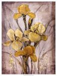 Golden Irises I