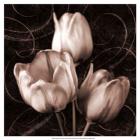 Tulip & Swirls II