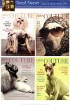 Canine Couture Collection