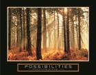 Possibilities-Sunlight