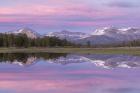 Tuolumne Meadows