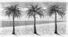 3 Island Palms