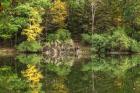 Autumn Forest Reflections Lake Side