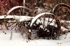 Broken Antique Wagon In Snow