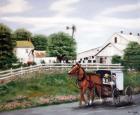 Amish Country 1