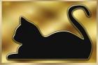 Cat on Gold Background