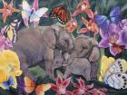 Elephants and Butterflies