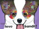 Love Bandit