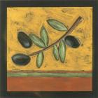 Tuscan Olive Branch I