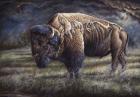 Spirit Of The Plains (Bison)