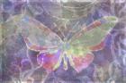 Purple Pink Butterfly Watercolor