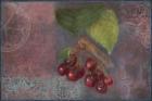 Cherries - Fruit Series
