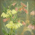 Paris Lilies