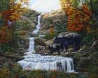 Black Bear Falls