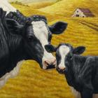 Holstein Cow and Calf