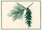 Green Pine