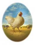 Smaller Promo Chicken - Egg