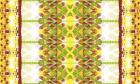 Lime Pattern