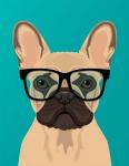 French Bulldog Teal