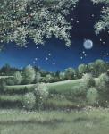 Fireflies Meadow
