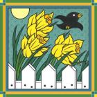 Daffodils 3 With Kernal The Crow