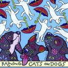 Raining Cats on Dogs