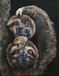 Happy Sloths