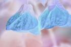 Heavenly Pastels 1