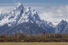 A Horse In Front Of The Grand Teton