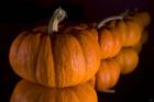 Pumpkin Reflections