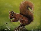 Squirrel